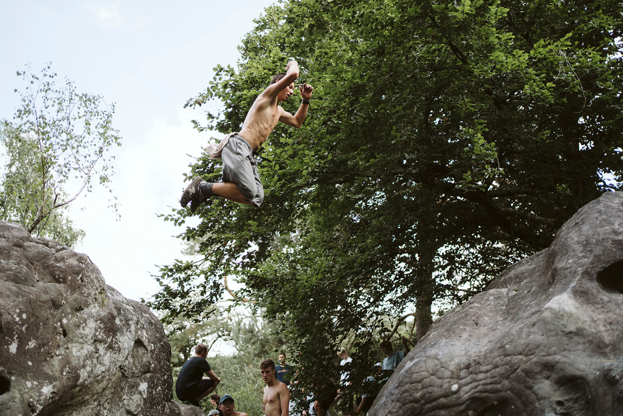 fontainebleau1