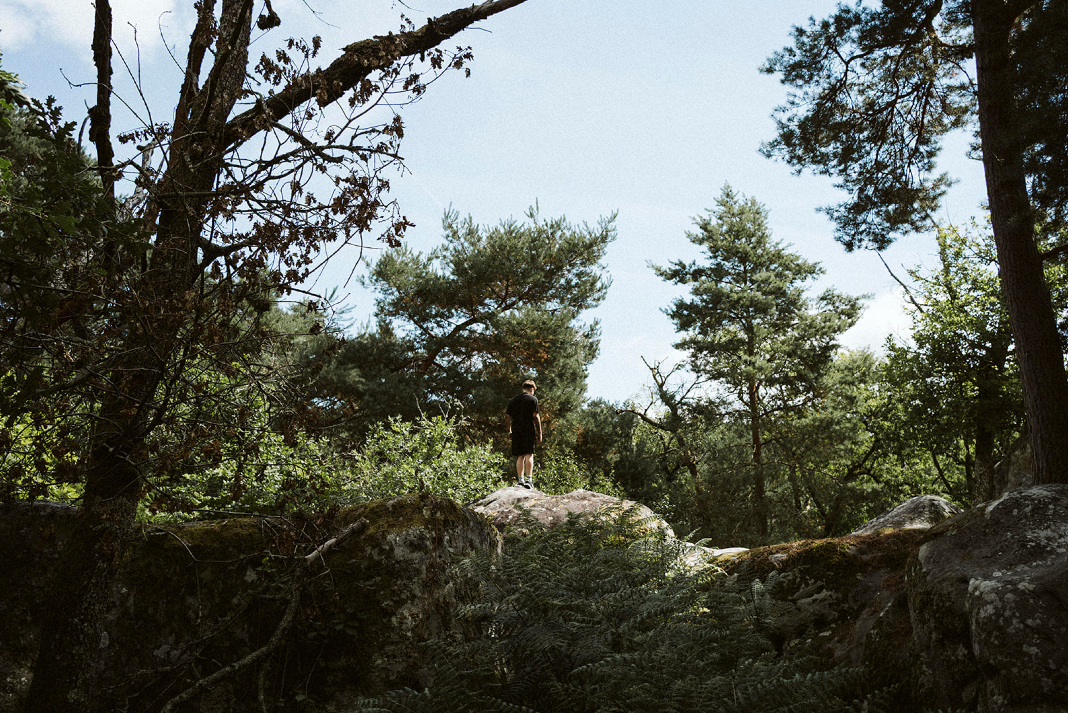 Parkour Fontainebleau 2025 – Ein Mensch checkt von einem Felsen, wie er runter springt.